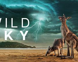 Wild Sky Season 1