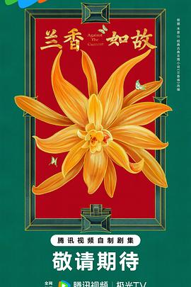 兰香如故